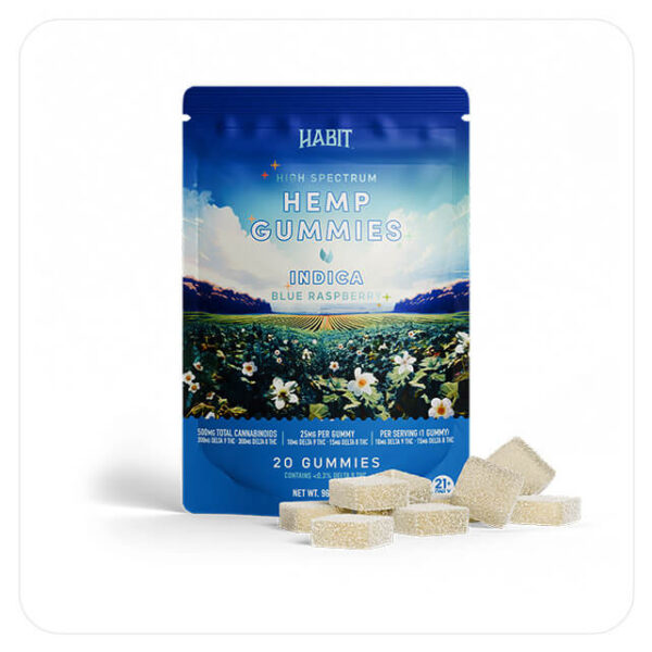 Delta 8 + Delta 9 Gummies – Blue Raspberry