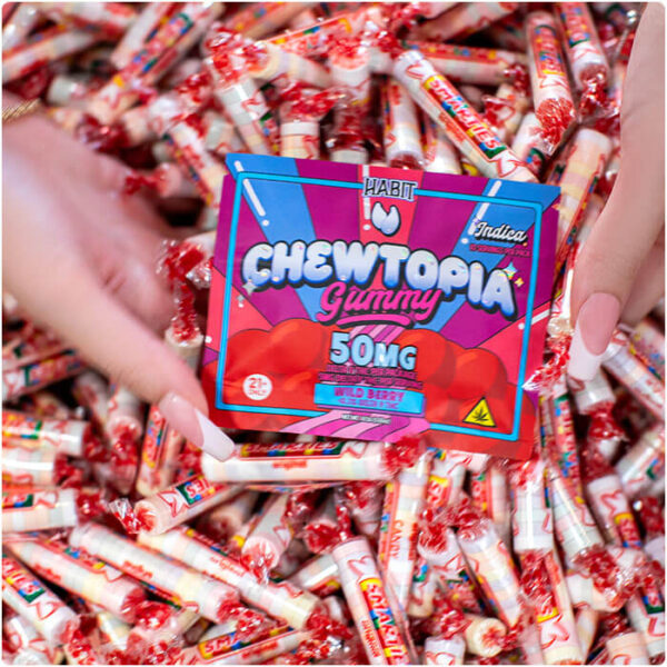 CHEWTOPIA 50mg Delta-9 Gummies – Wild Berry