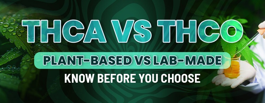 THCO vs THCA: What’s the Difference